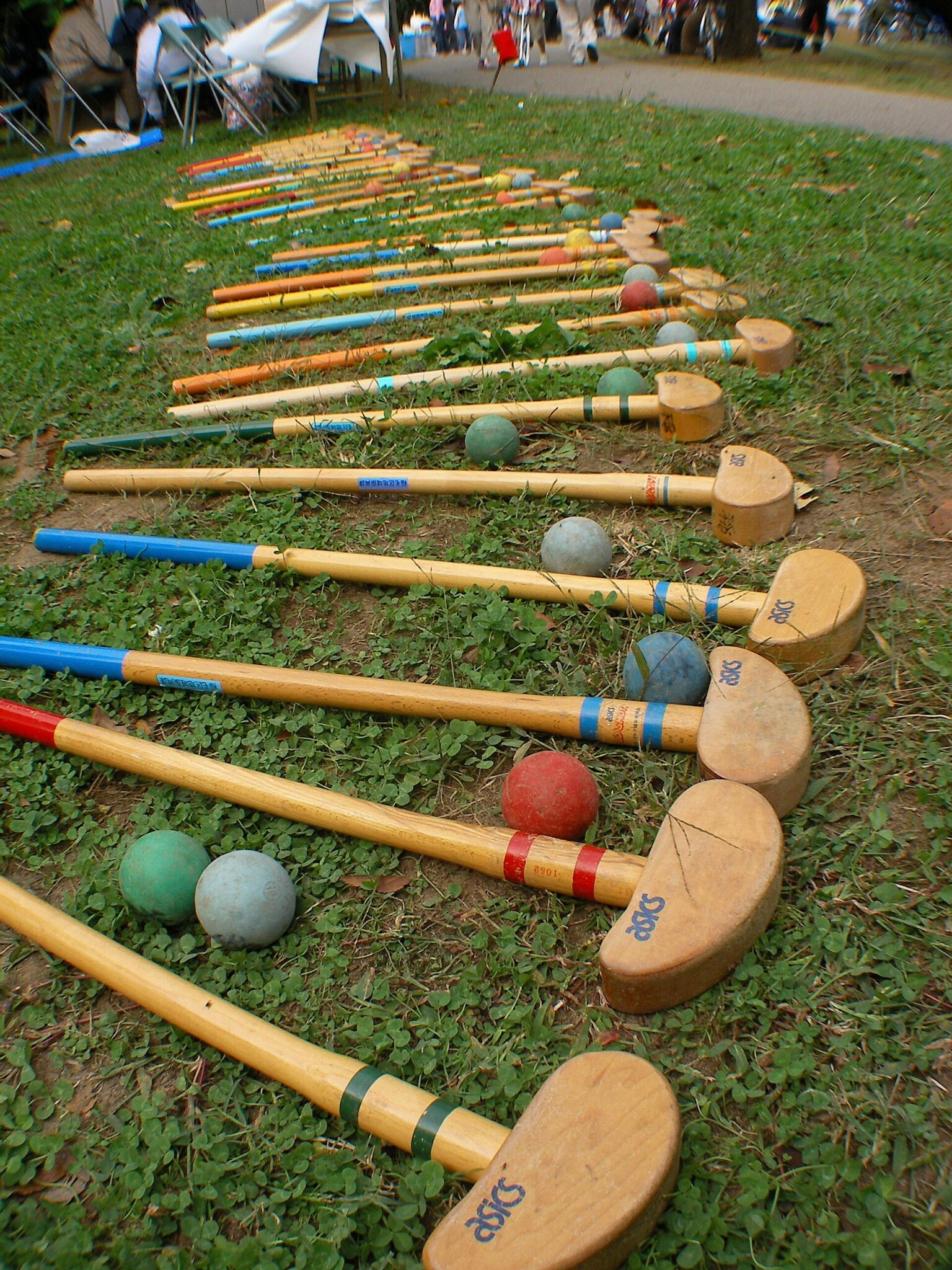 Fix Golf Pro